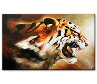 Дзікія кошкі