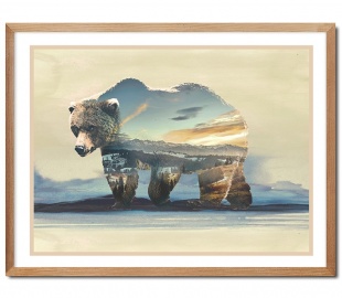 Жывёлы - іншае