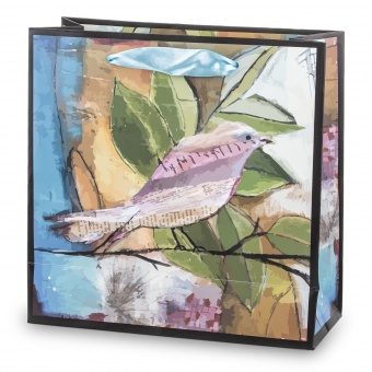 Папяровы пакет