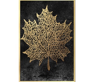 кветкавыя матывы