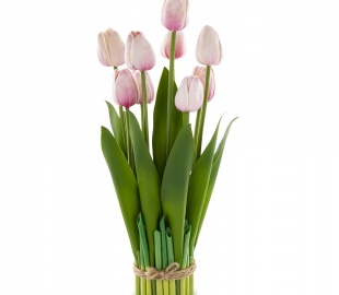 Вянкі галінак