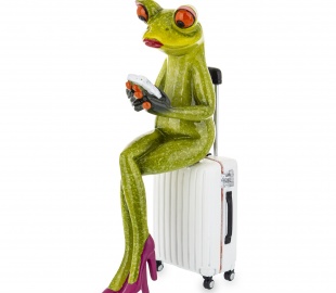 Жабы Temidy кацяняці