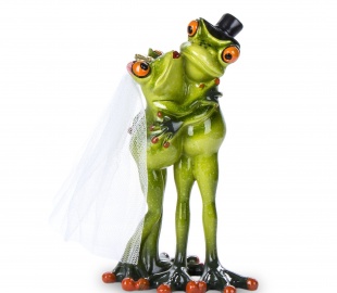 Жабы Temidy кацяняці