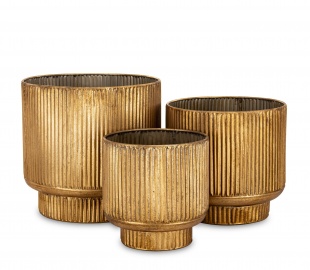 Калекцыя Дэрбі